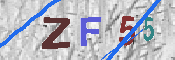 Immagine CAPTCHA