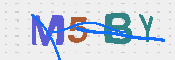 Immagine CAPTCHA