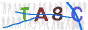 Immagine CAPTCHA