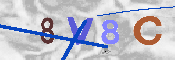 Immagine CAPTCHA