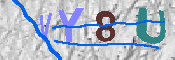 Immagine CAPTCHA