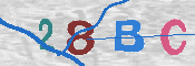 Immagine CAPTCHA