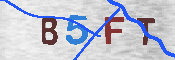 Immagine CAPTCHA