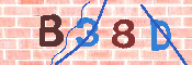 Immagine CAPTCHA