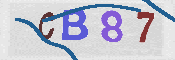 Immagine CAPTCHA