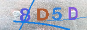 Immagine CAPTCHA