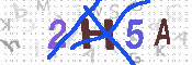 Immagine CAPTCHA