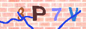 Immagine CAPTCHA