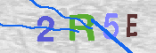 Immagine CAPTCHA