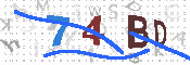 Immagine CAPTCHA