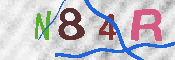 Immagine CAPTCHA
