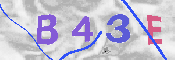 Immagine CAPTCHA
