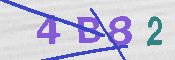 Immagine CAPTCHA