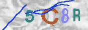 Immagine CAPTCHA