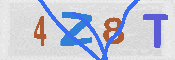 Immagine CAPTCHA