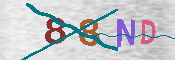 Immagine CAPTCHA