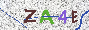 Immagine CAPTCHA