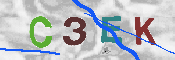Immagine CAPTCHA