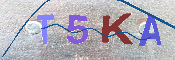 Immagine CAPTCHA