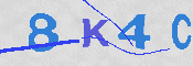 Immagine CAPTCHA