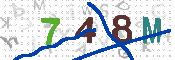 Immagine CAPTCHA