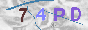 Immagine CAPTCHA