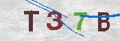 Immagine CAPTCHA