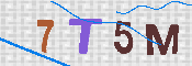 Immagine CAPTCHA