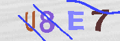 Immagine CAPTCHA