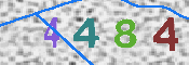 Immagine CAPTCHA