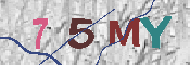 Immagine CAPTCHA