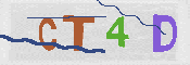 Immagine CAPTCHA