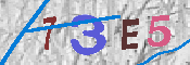 Immagine CAPTCHA
