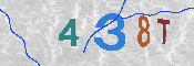 Immagine CAPTCHA