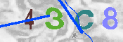 Immagine CAPTCHA
