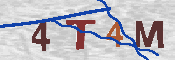 Immagine CAPTCHA
