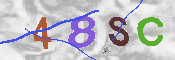 Immagine CAPTCHA