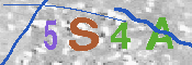 Immagine CAPTCHA