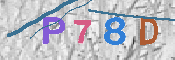 Immagine CAPTCHA