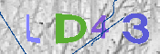 Immagine CAPTCHA
