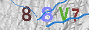 Immagine CAPTCHA