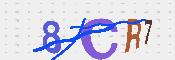 Immagine CAPTCHA