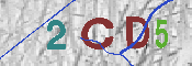 Immagine CAPTCHA
