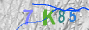 Immagine CAPTCHA