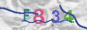 Immagine CAPTCHA