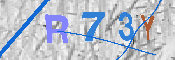 Immagine CAPTCHA