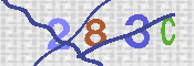 Immagine CAPTCHA