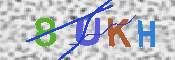 Immagine CAPTCHA