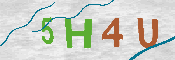 Immagine CAPTCHA