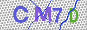 Immagine CAPTCHA